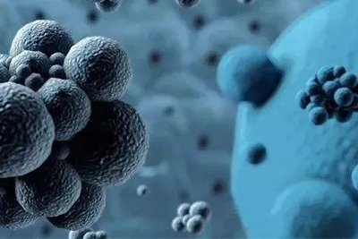 益生菌及与其密切相关的四个重要概念